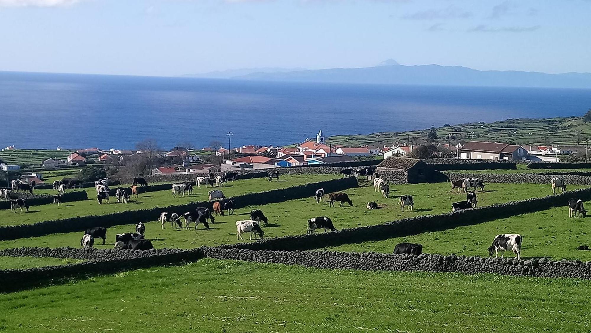 O Miradouro Angra do Heroísmo Exterior foto